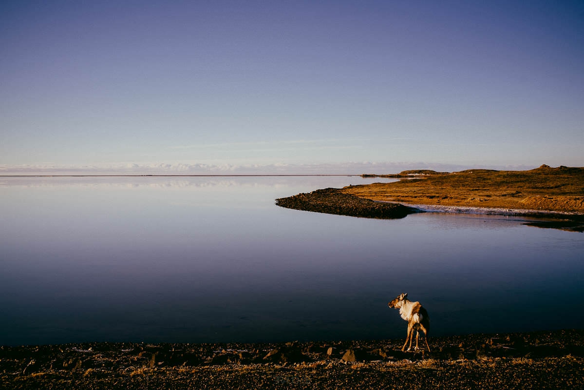 vestrahorn klifatindur mountain iceland 0022 - Iceland – Vestrahorn 