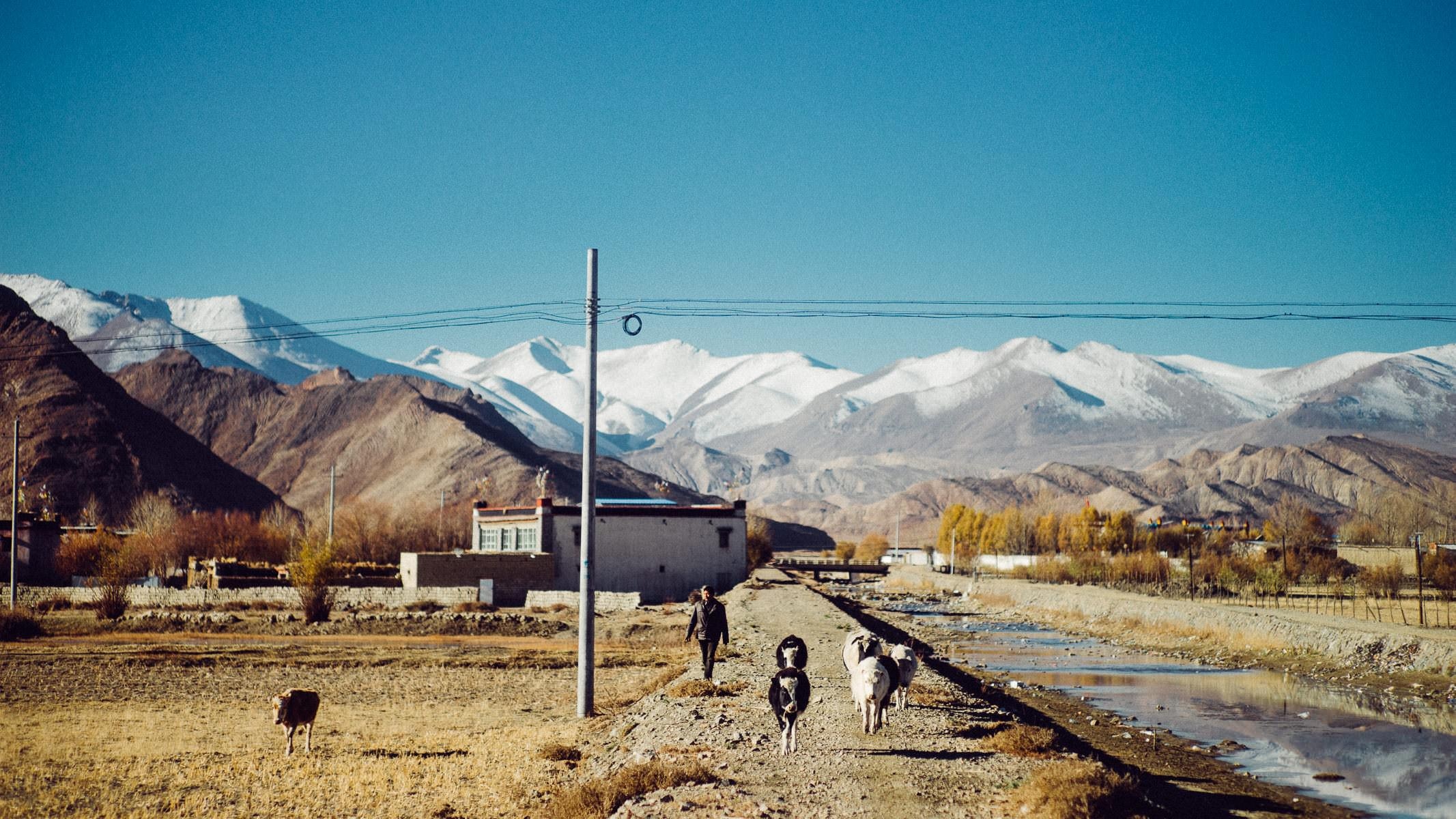 xigaze tashilhunpo tibet lhasa 0001 - De Gyantse a Xigazé