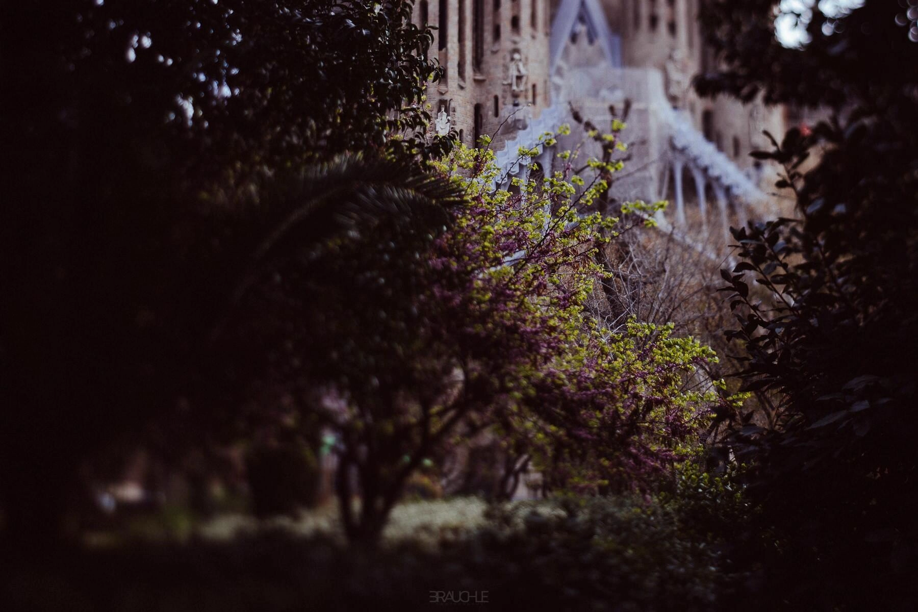 0009 barcelona la sagrada familia church gaudi - Barcelona - Sagrada Familia