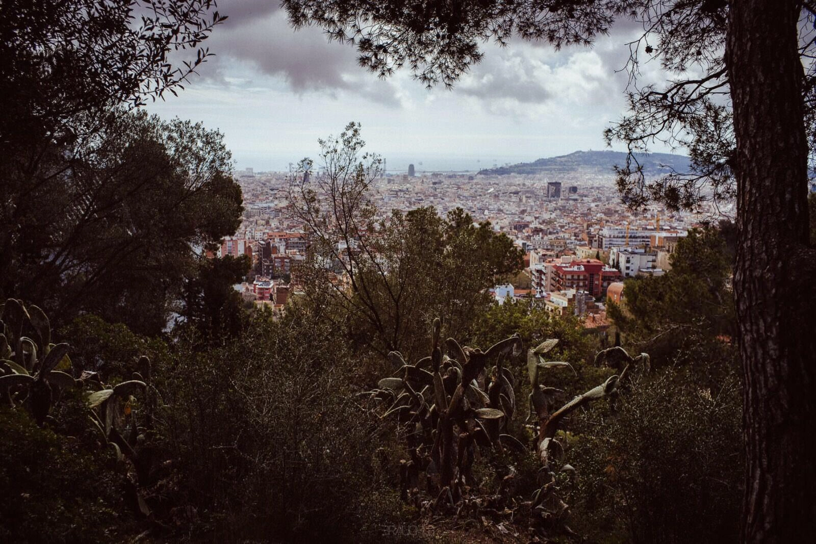 0009 barcelona park guell - Barcelona - Park Güell