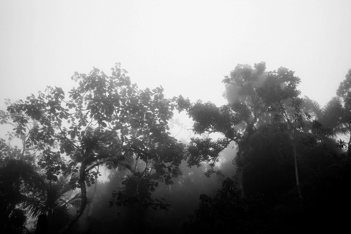 001 fidel castro versteck sierra maestra - Auf den Spuren Fidel Castros in der Sierra Maestra
