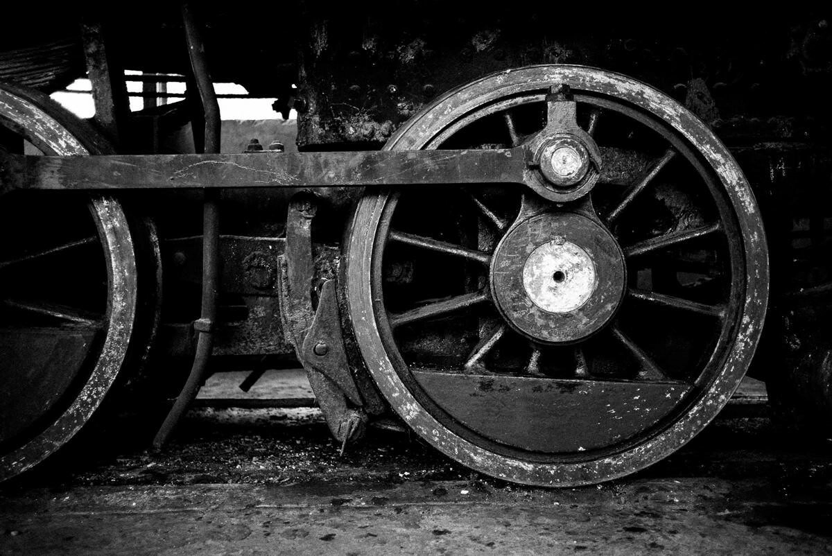 006 cienfuegos australia schweinebucht krokodilfarm - From Old Locomotives near Australia to the Bay of Pigs
