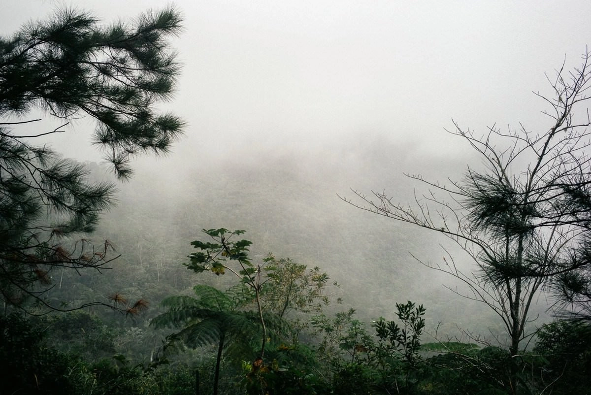 007 fidel castro versteck sierra maestra - Auf den Spuren Fidel Castros in der Sierra Maestra