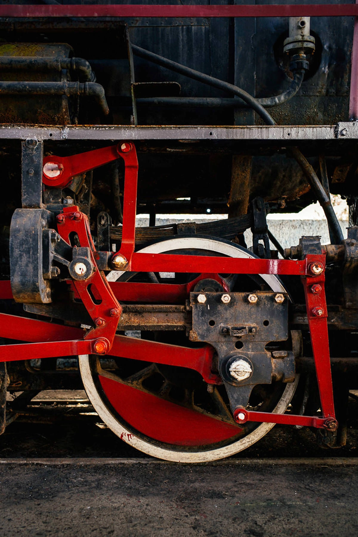 009 cienfuegos australia schweinebucht krokodilfarm - From Old Locomotives near Australia to the Bay of Pigs