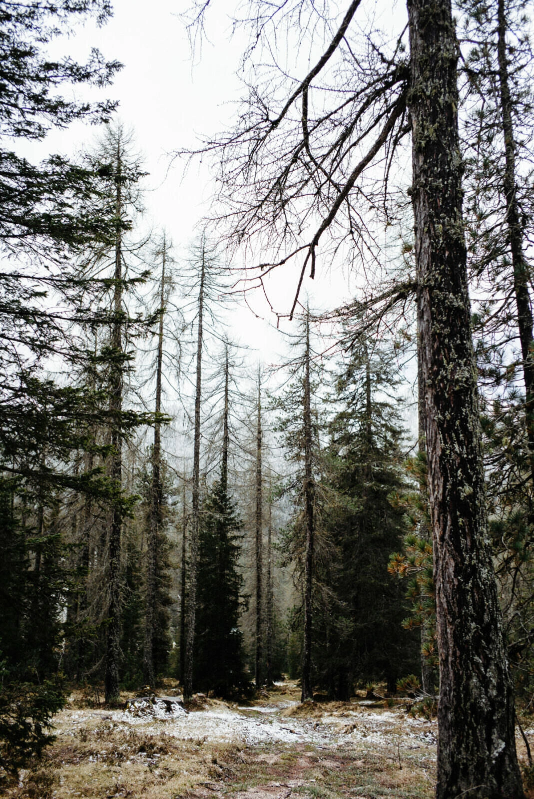 010 dolomiten wandern mai cortina dampezzo - Hiking in the Dolomites – Day 1