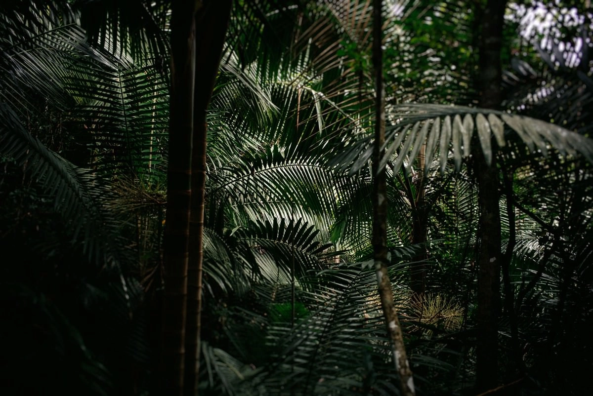 010 fidel castro versteck sierra maestra - Auf den Spuren Fidel Castros in der Sierra Maestra
