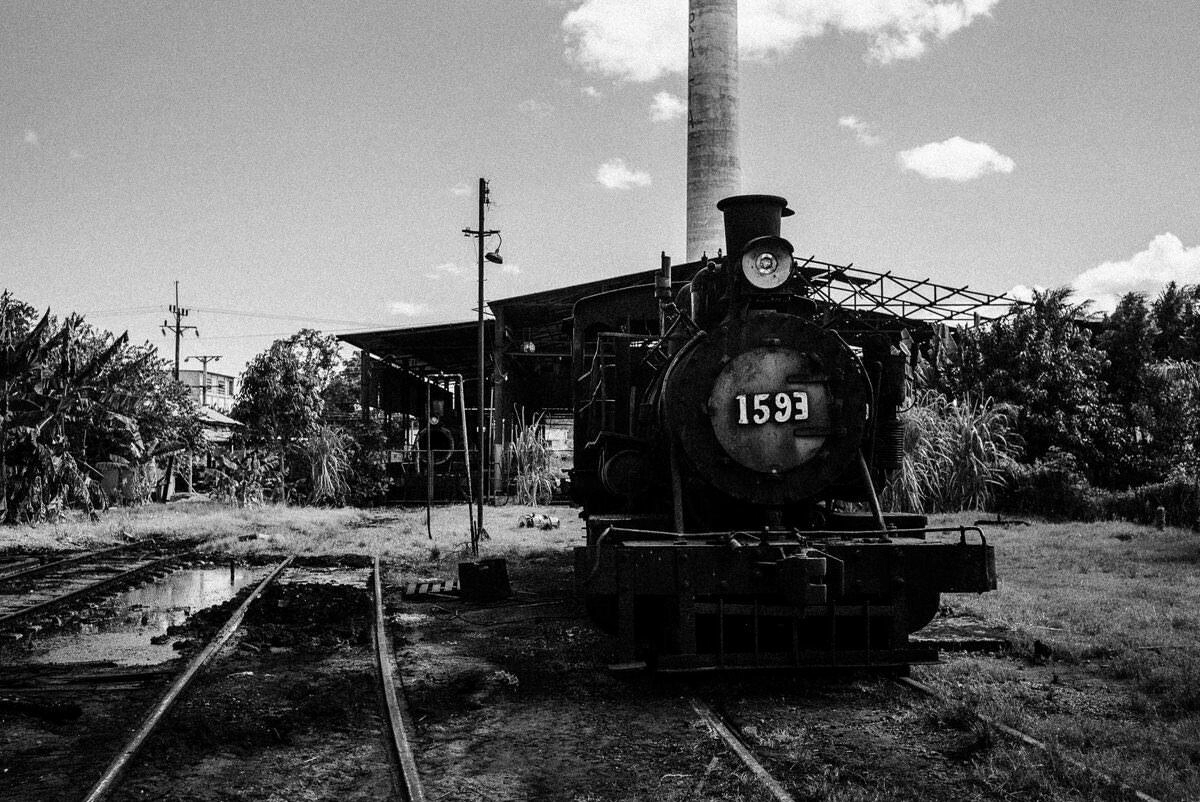 012 cienfuegos australia schweinebucht krokodilfarm - From Old Locomotives near Australia to the Bay of Pigs