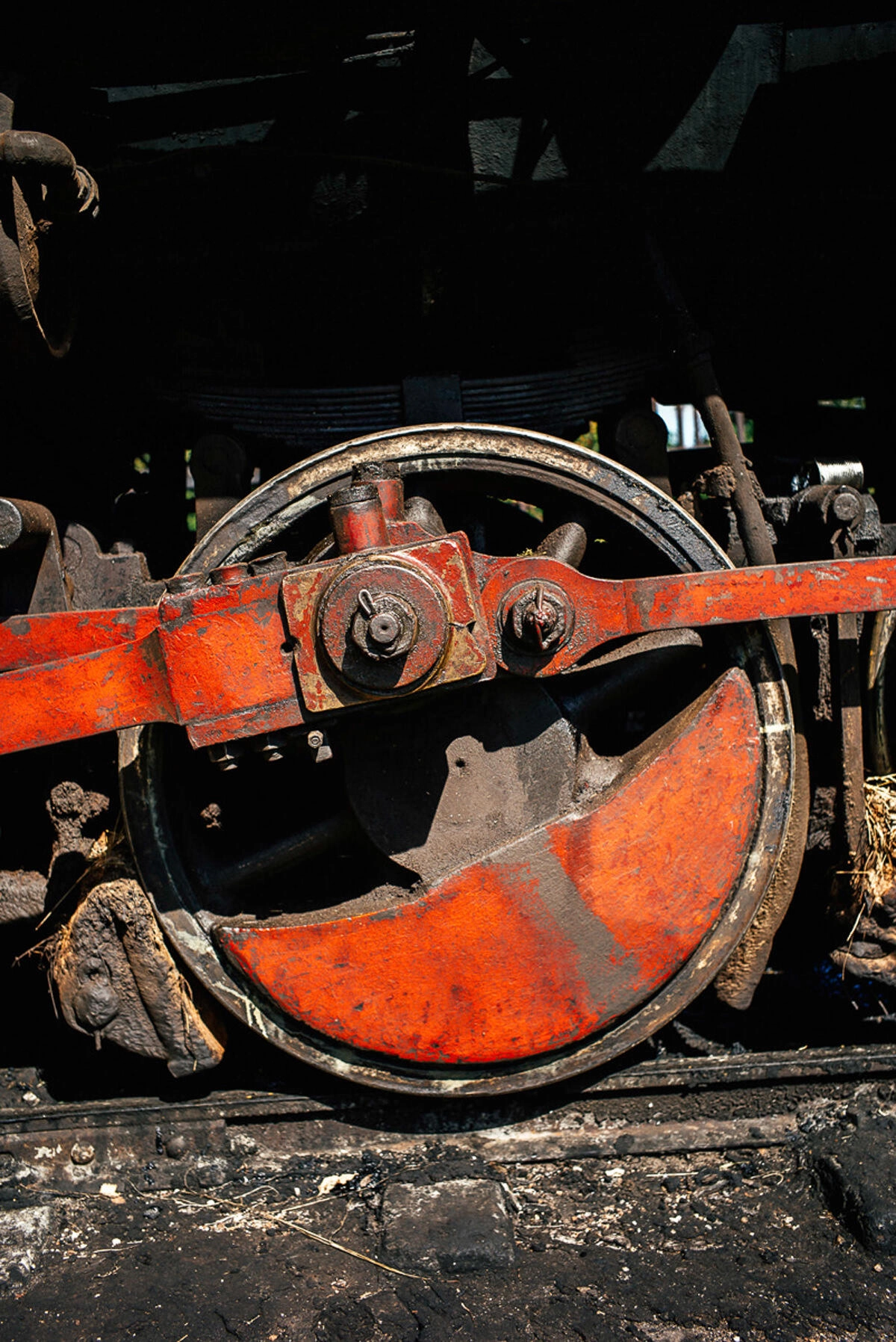 013 cienfuegos australia schweinebucht krokodilfarm - From Old Locomotives near Australia to the Bay of Pigs