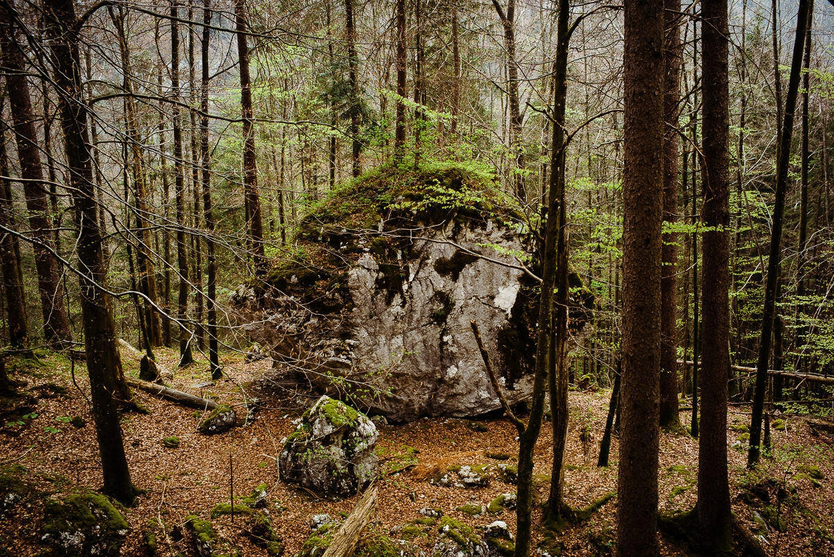 013 koenigssee wanderung aussichtspunkt - Caminata a la Königssee
