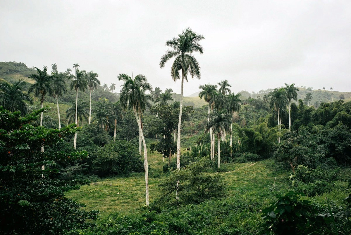 013 santa clara topes de collantes trinidad - Über die Topes de Collantes nach Trinidad