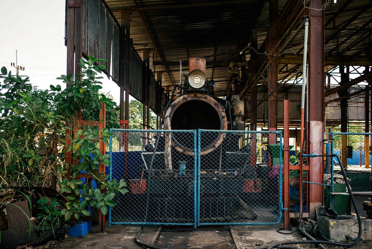 014 cienfuegos australia schweinebucht krokodilfarm - From Old Locomotives near Australia to the Bay of Pigs