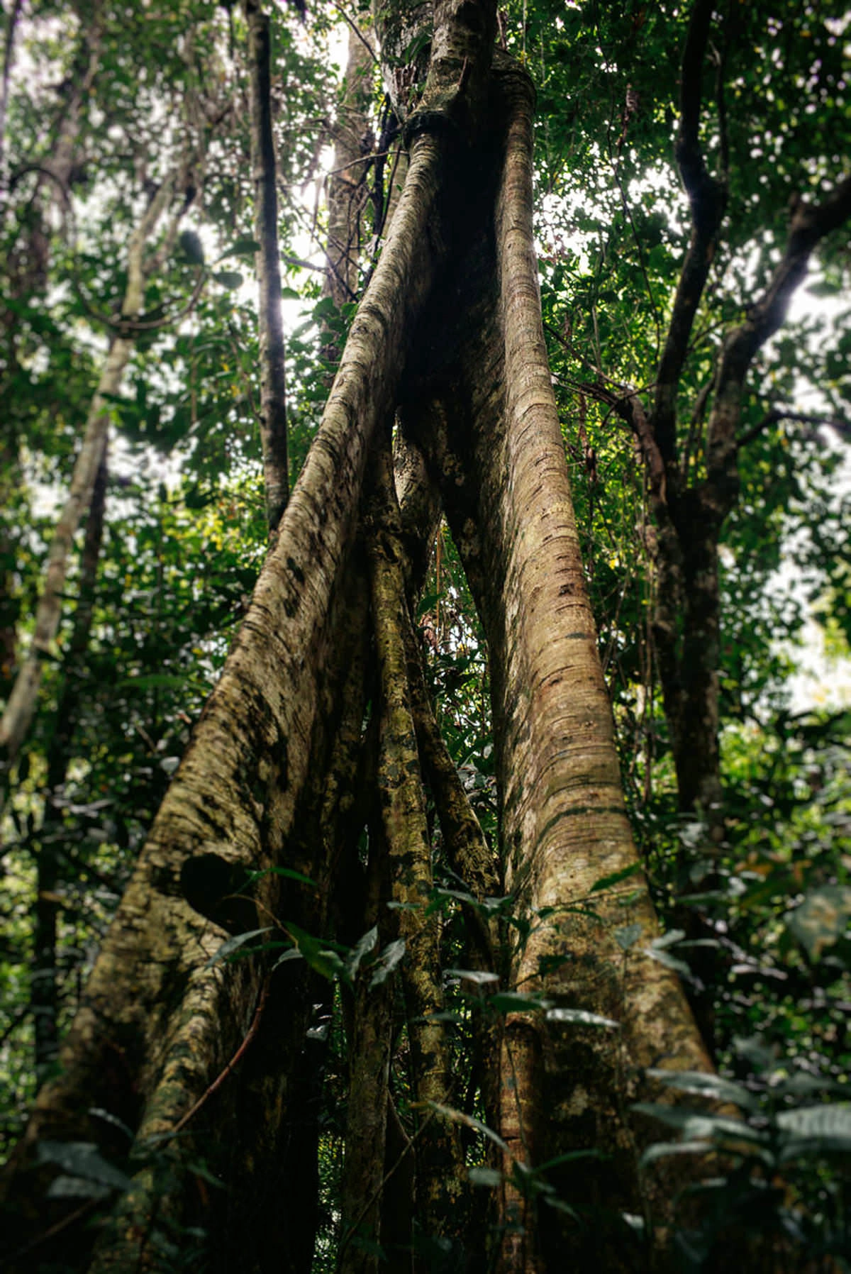 017 fidel castro versteck sierra maestra - Auf den Spuren Fidel Castros in der Sierra Maestra