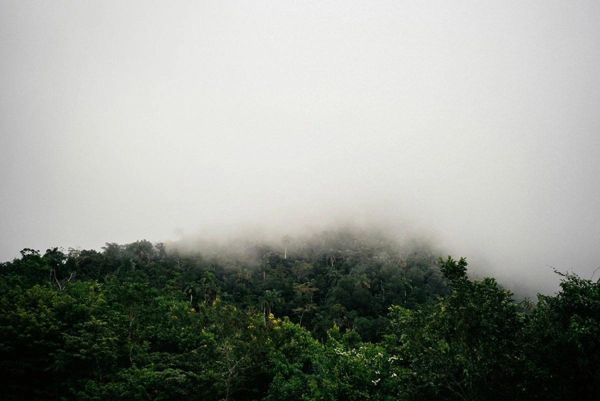 020 fidel castro versteck sierra maestra - Auf den Spuren Fidel Castros in der Sierra Maestra