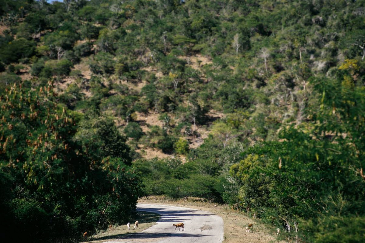 022 road santiago de cuba to pilon sierra maestra - Auf der kaputten Straße von Santiago de Cuba nach Pilon