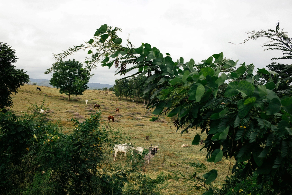 022 santa clara topes de collantes trinidad - Über die Topes de Collantes nach Trinidad