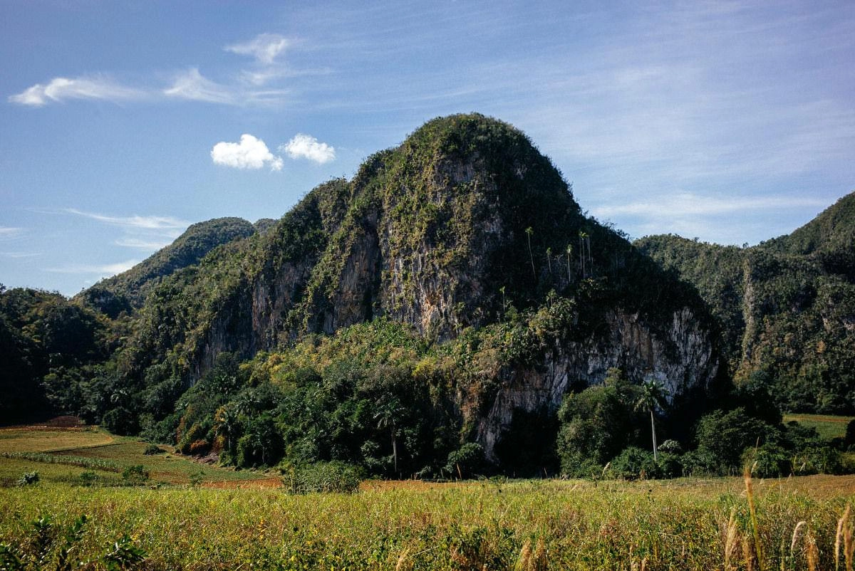 025 vinales tal kuba wanderung - Caminata por los campos de tabaco en el valle de Viñales
