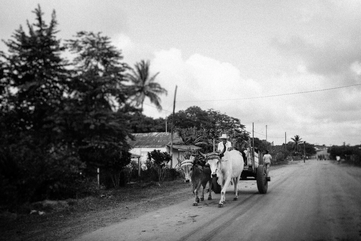 026 vinales Playa de Cayo Jutia - Playa de Cayo Jutías desde Viñales