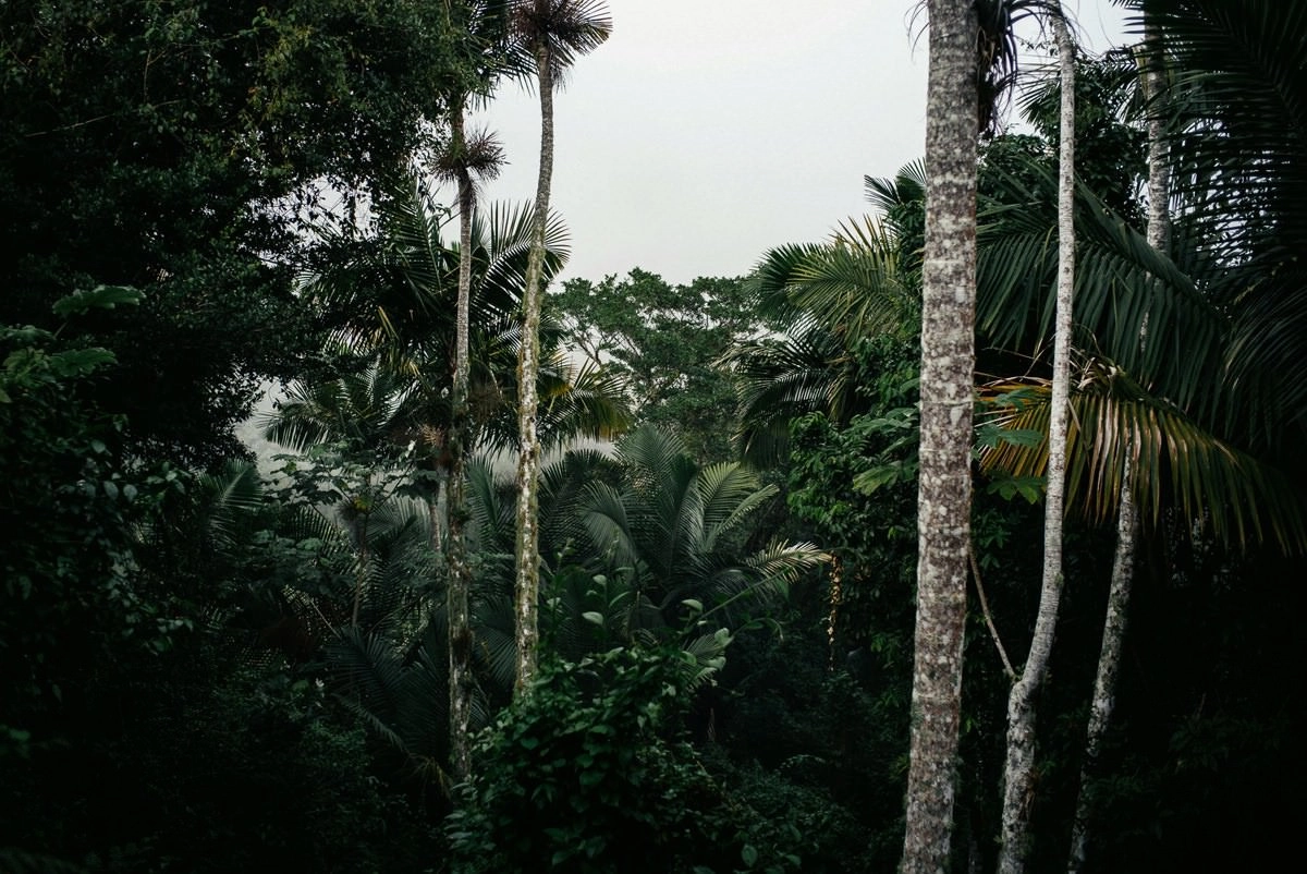 027 fidel castro versteck sierra maestra - Auf den Spuren Fidel Castros in der Sierra Maestra