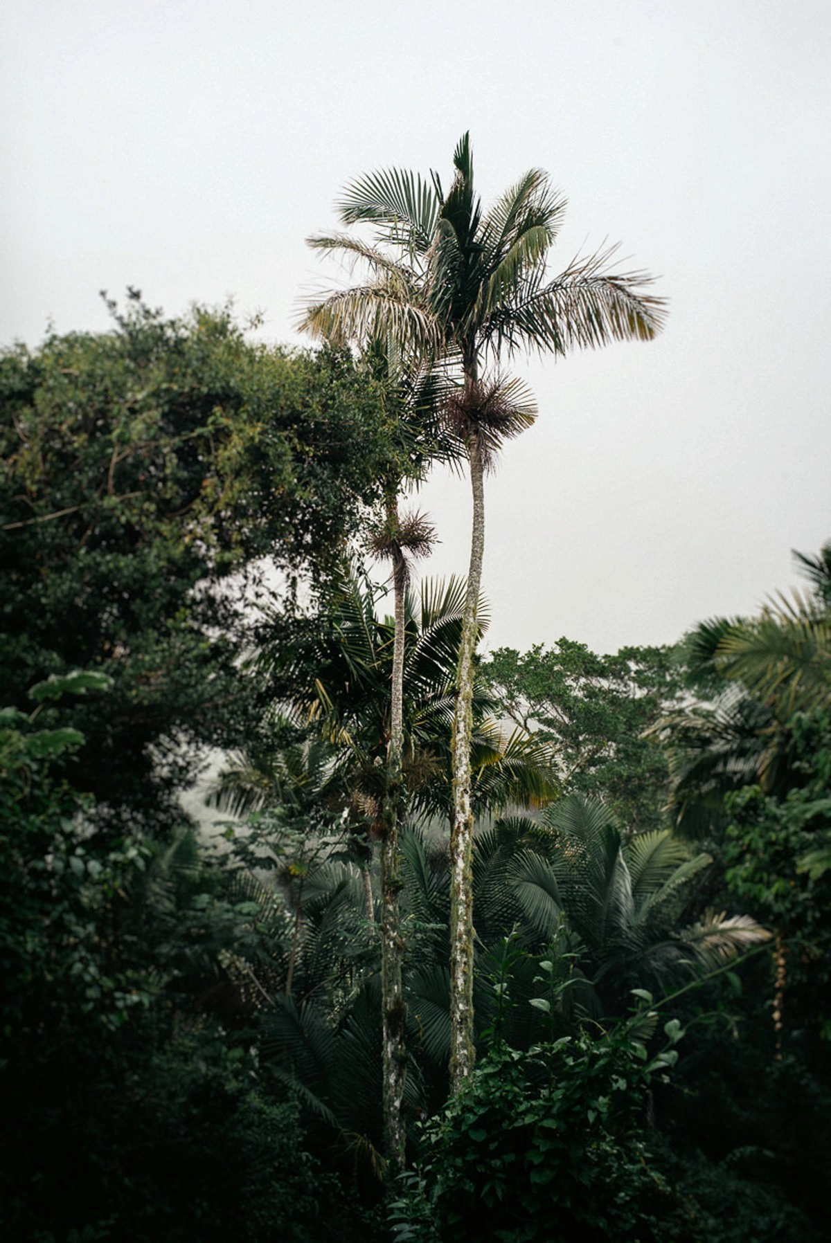 028 fidel castro versteck sierra maestra - Auf den Spuren Fidel Castros in der Sierra Maestra
