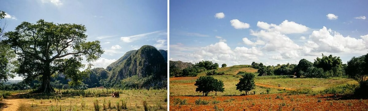 028 vinales tal kuba wanderung - Caminata por los campos de tabaco en el valle de Viñales
