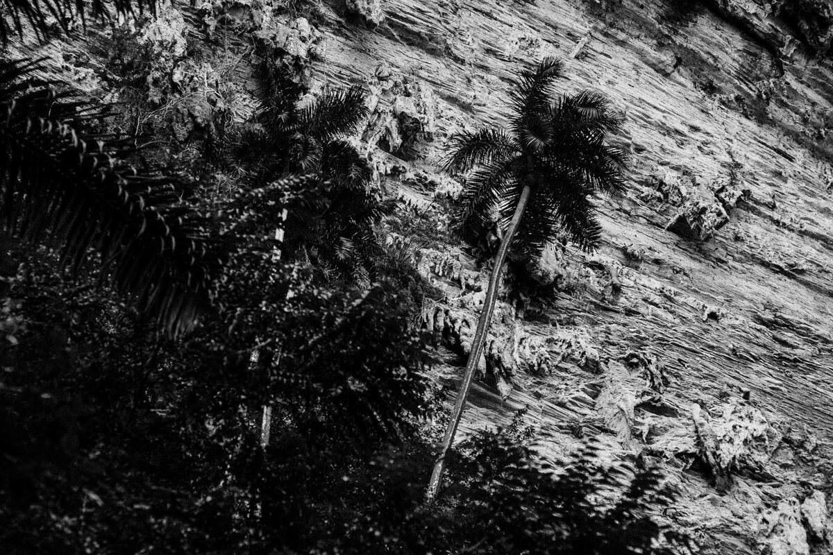 029 trinidad Parque Natural Topes de Collantes - De Trinidad a la Cascada Salto del Caburní (Topes de Collantes)