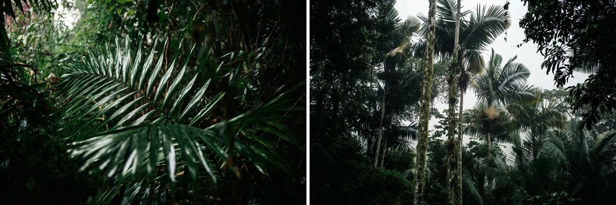 030 fidel castro versteck sierra maestra - Auf den Spuren Fidel Castros in der Sierra Maestra