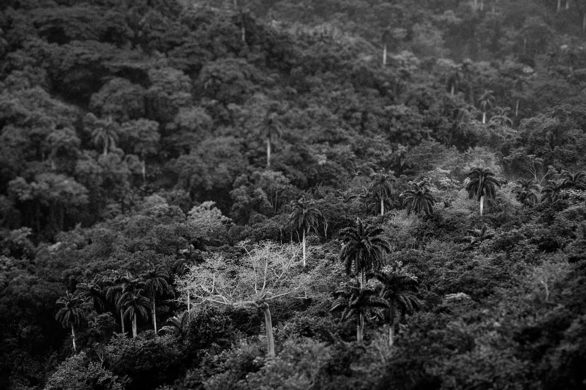 030 road sierra maestra santo domingo pilon - Weg in die Sierra Maestra nach Santo Domingo