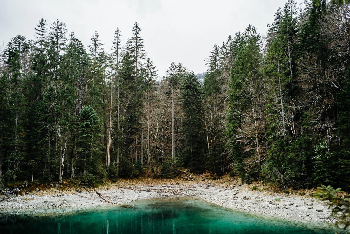 031 zugspitze eibsee wanderung - Caminata alrededor del Eibsee/Zugspitze