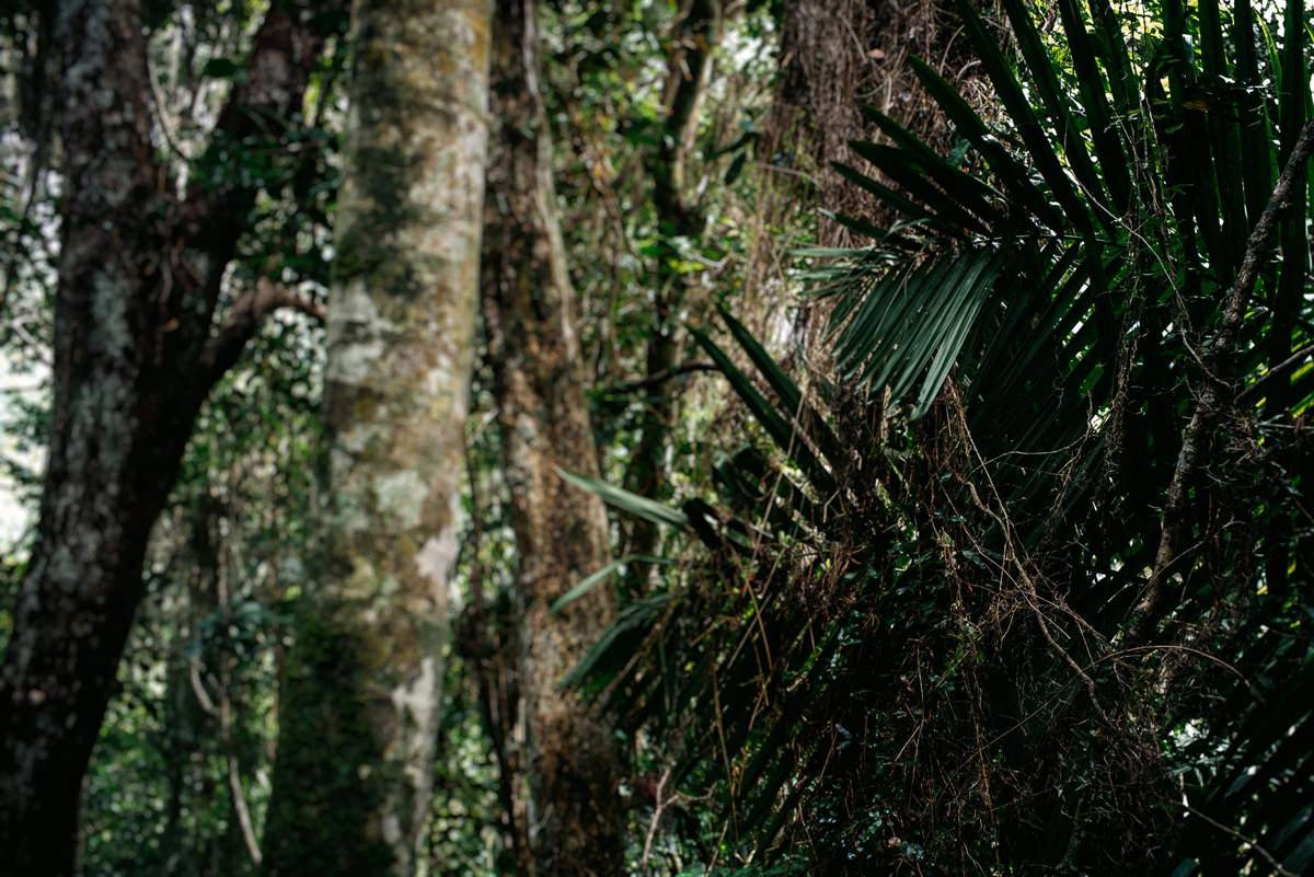 032 fidel castro versteck sierra maestra - Auf den Spuren Fidel Castros in der Sierra Maestra