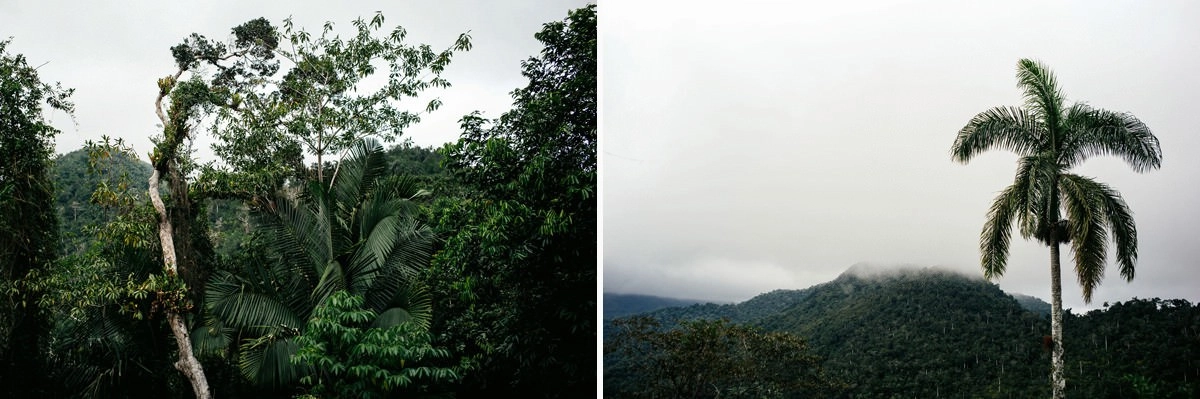 033 fidel castro versteck sierra maestra - Auf den Spuren Fidel Castros in der Sierra Maestra