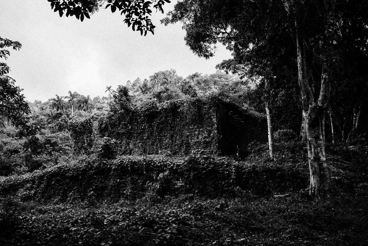 034 cienfuegos fidel castro vinales - Cienfuegos, Old Coffee Fincas near Las Terrazas, and Viñales