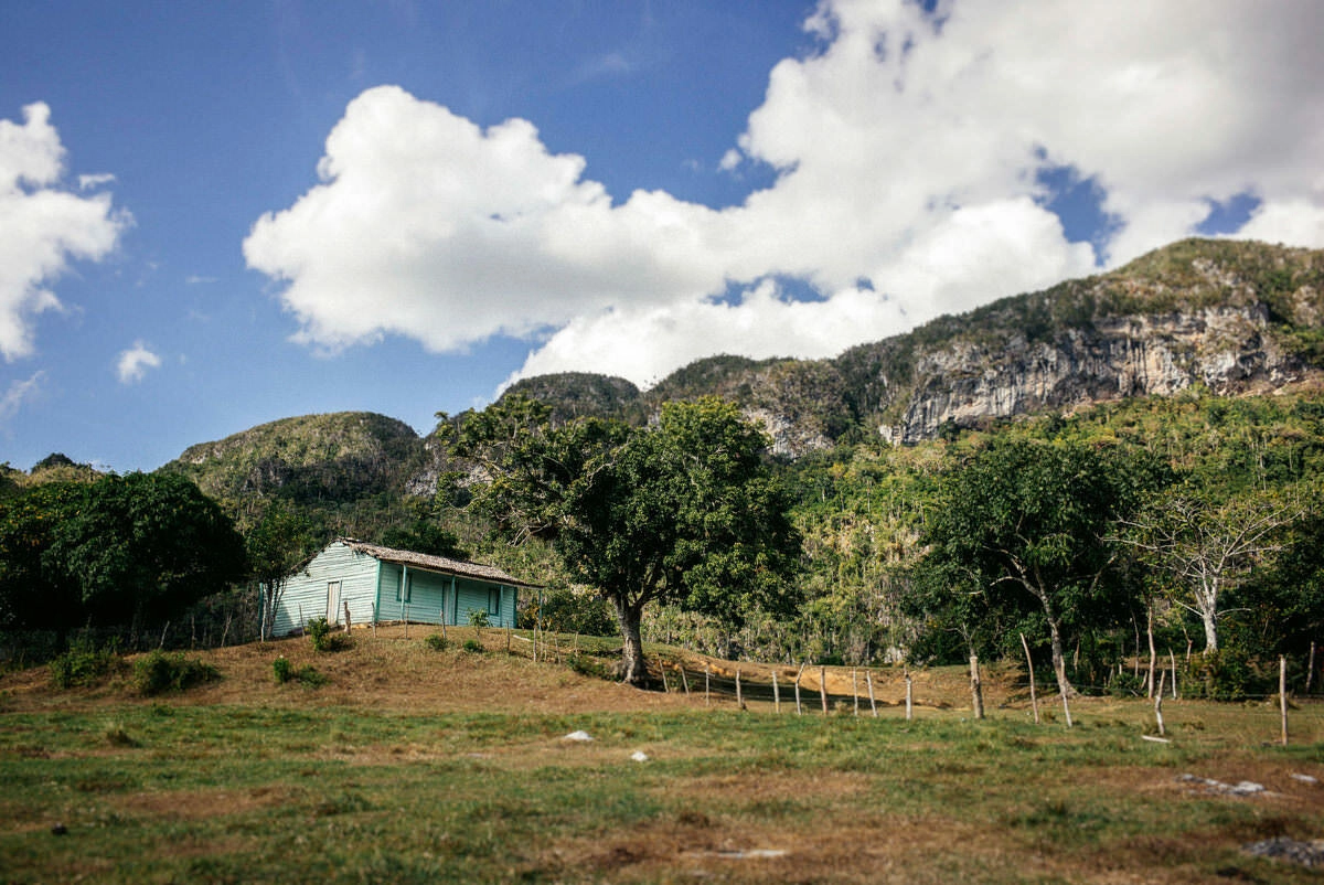 034 vinales tal kuba wanderung - Caminata por los campos de tabaco en el valle de Viñales