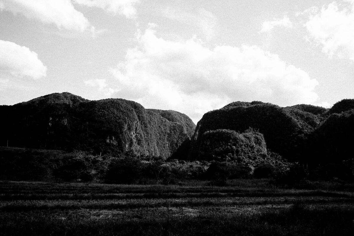 036 vinales tal kuba wanderung - Caminata por los campos de tabaco en el valle de Viñales