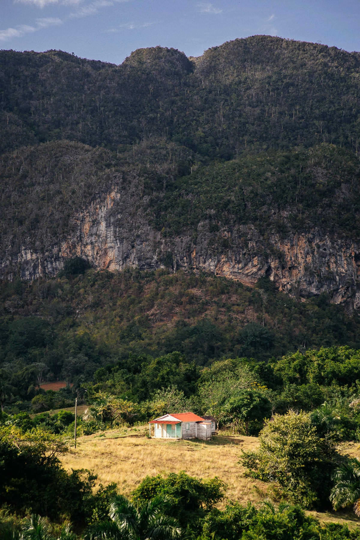037 vinales tal kuba wanderung - Caminata por los campos de tabaco en el valle de Viñales