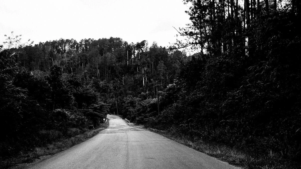 039 trinidad Parque Natural Topes de Collantes - De Trinidad a la Cascada Salto del Caburní (Topes de Collantes)