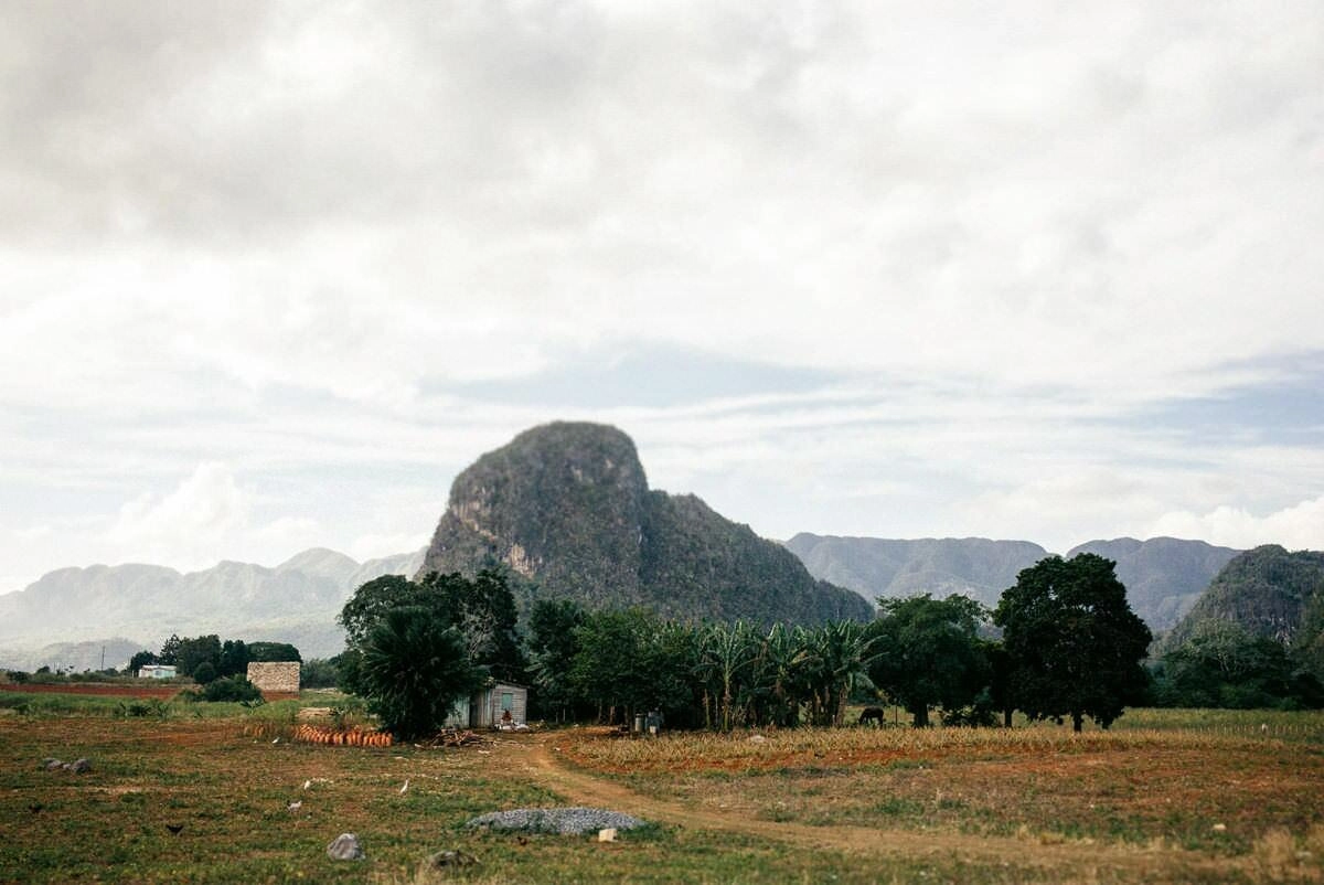 044 vinales tal kuba wanderung - Caminata por los campos de tabaco en el valle de Viñales