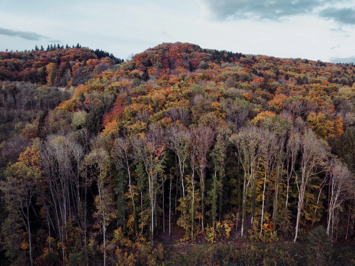 markdorf gehrenberg bodensee herbst 0006 - Luftaufnahmen vom Gehrenberg im Herbst