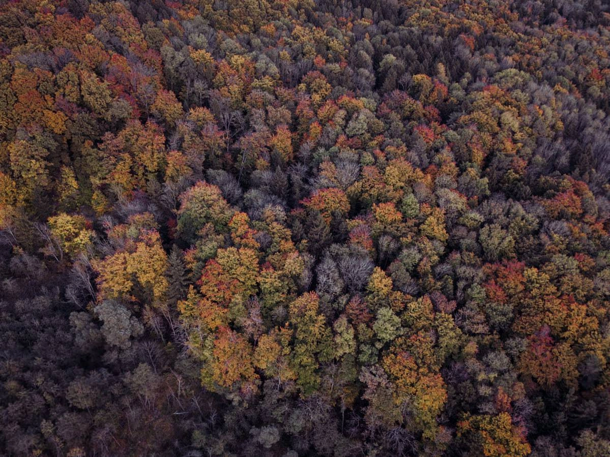 markdorf gehrenberg bodensee herbst 0007 - Luftaufnahmen vom Gehrenberg im Herbst