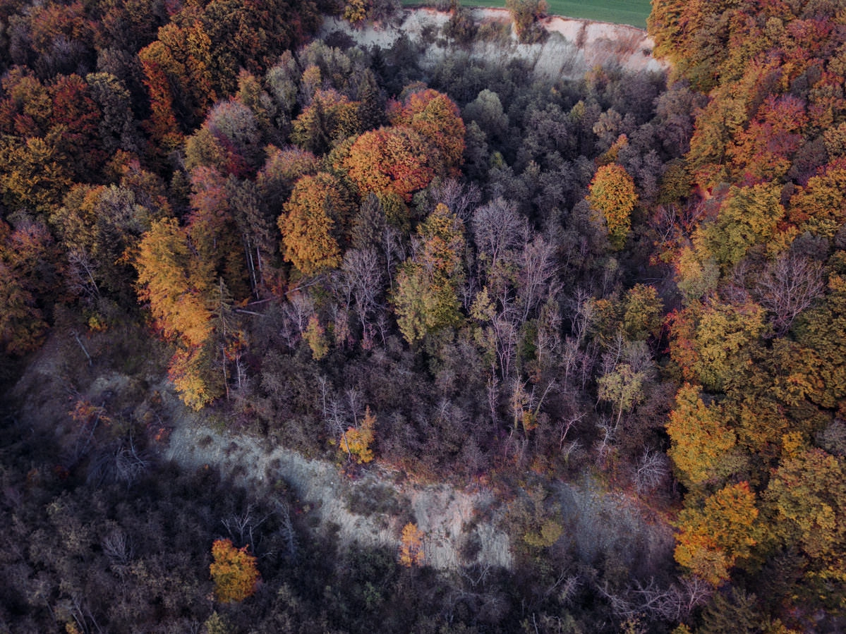 markdorf gehrenberg bodensee herbst 0008 - Luftaufnahmen vom Gehrenberg im Herbst