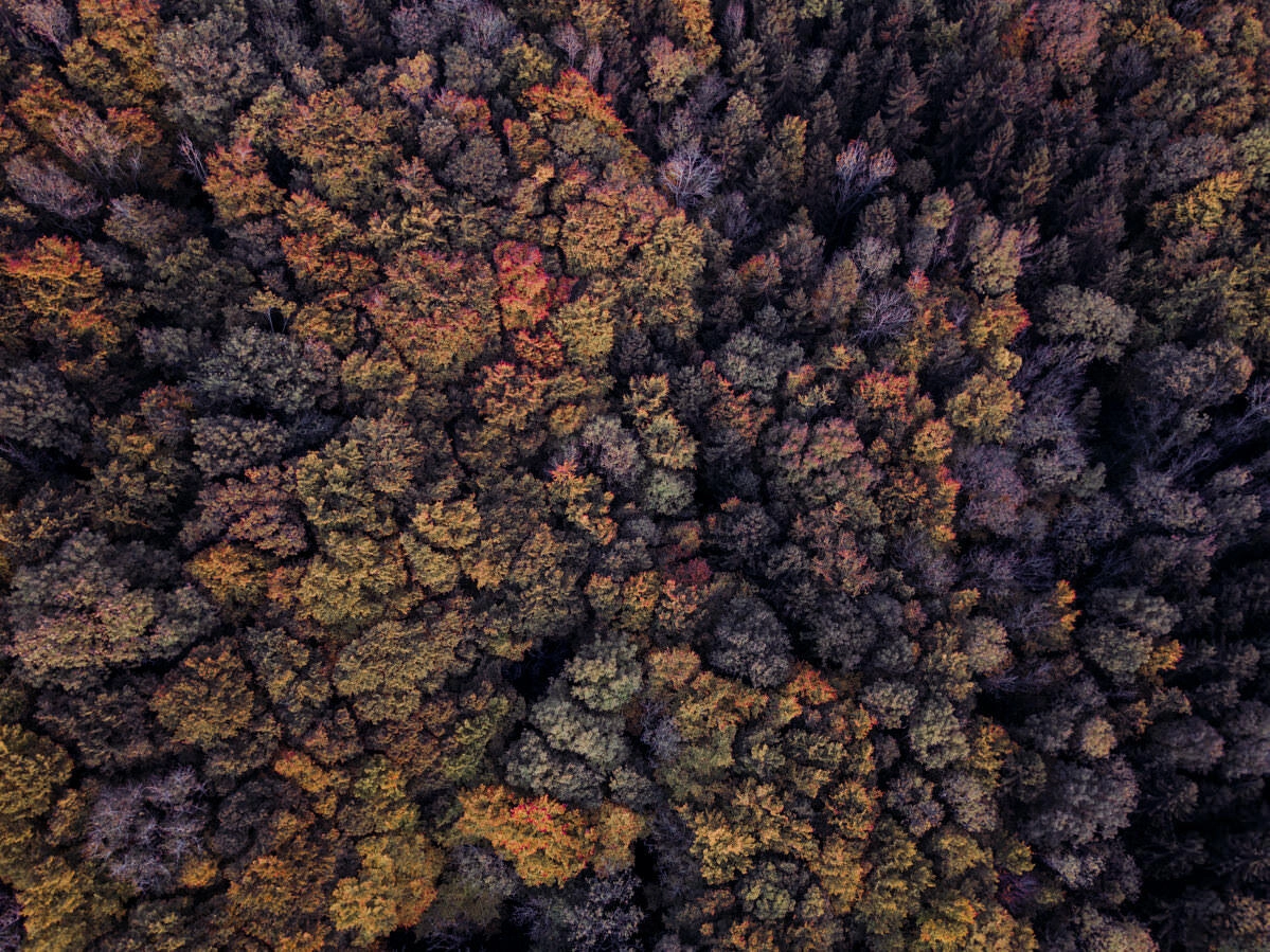 markdorf gehrenberg bodensee herbst 0010 - Luftaufnahmen vom Gehrenberg im Herbst