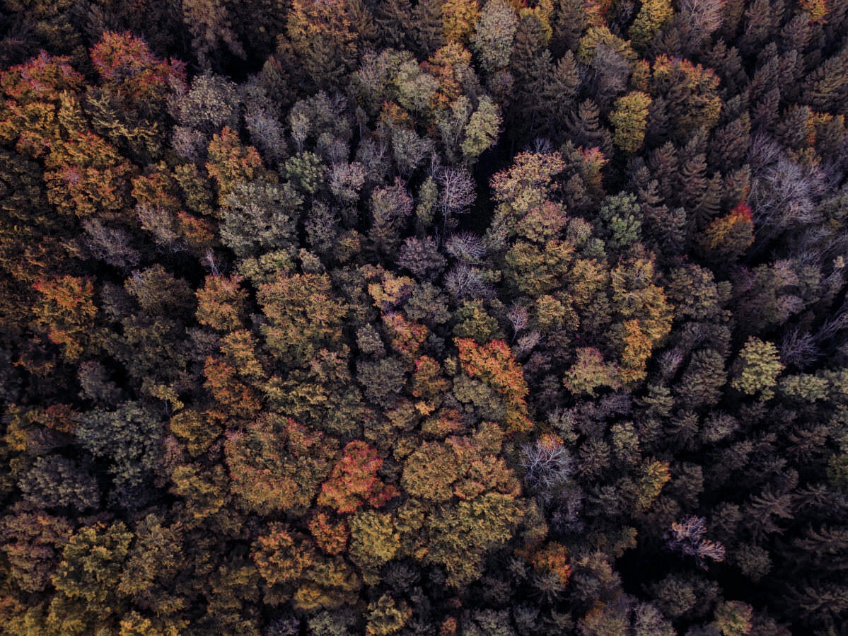 markdorf gehrenberg bodensee herbst 0011 - Luftaufnahmen vom Gehrenberg im Herbst