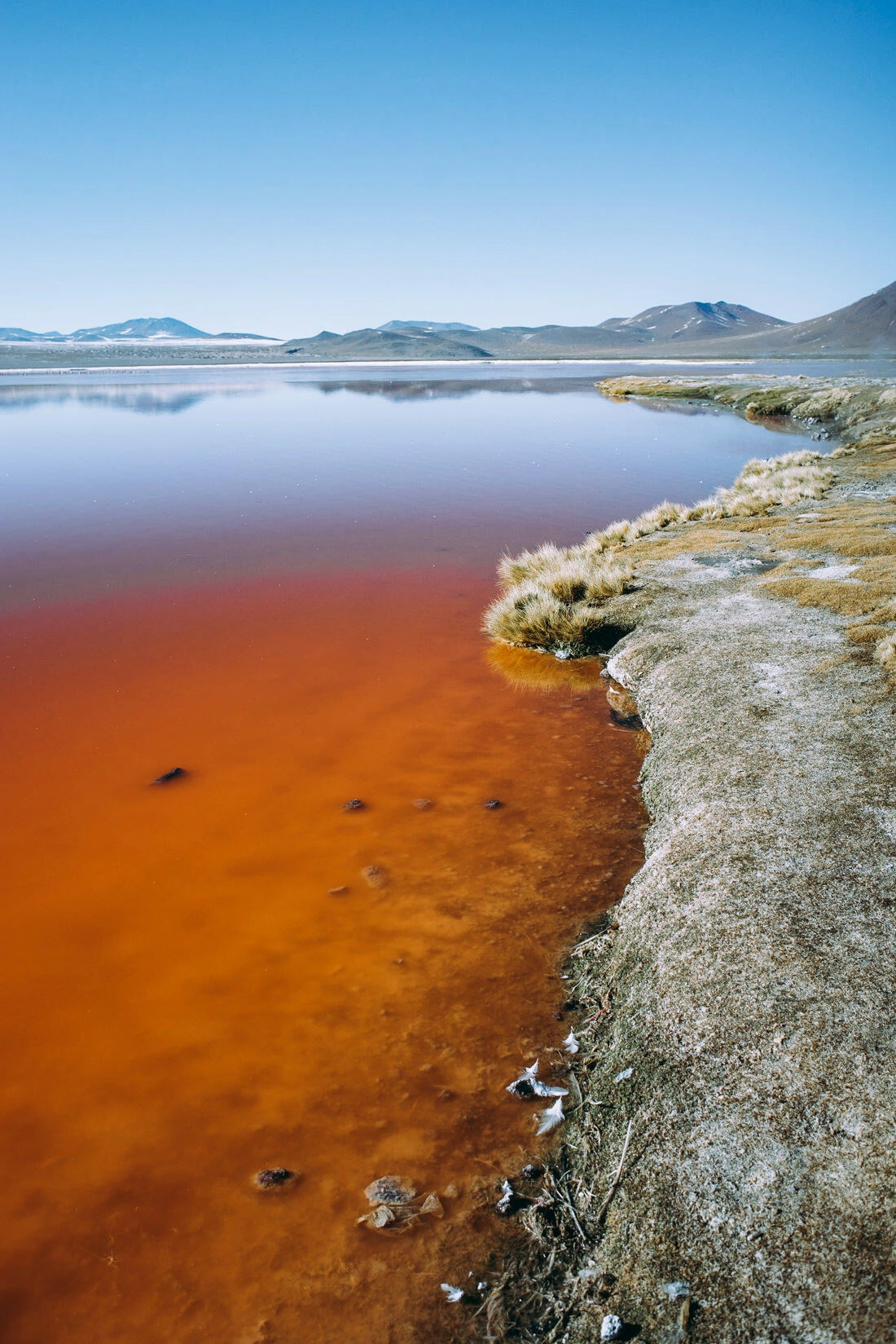 002 bolivia alti plano lago colorada - Bolivia – From Laguna Colorada through the Altiplano