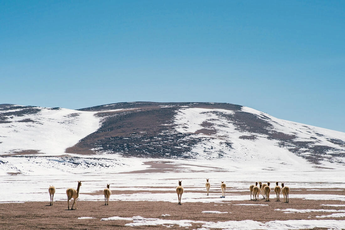 007 bolivia alti plano lago colorada - Bolivia – From Laguna Colorada through the Altiplano