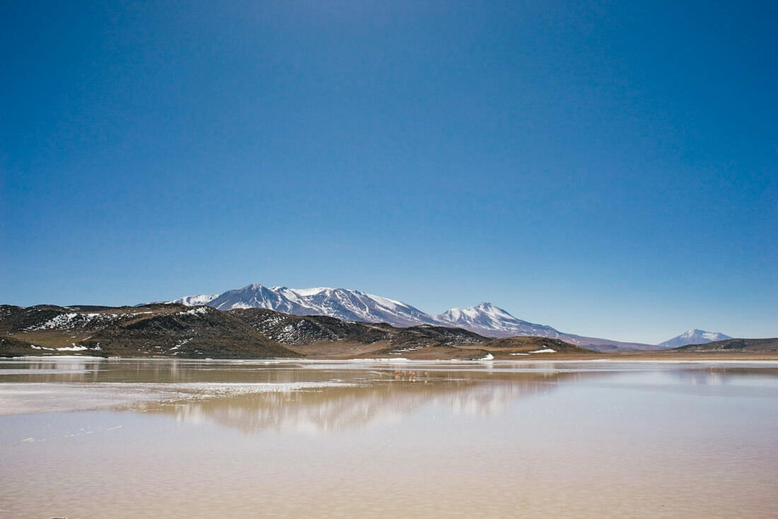 010 bolivia alti plano lago colorada - Bolivia – From Laguna Colorada through the Altiplano