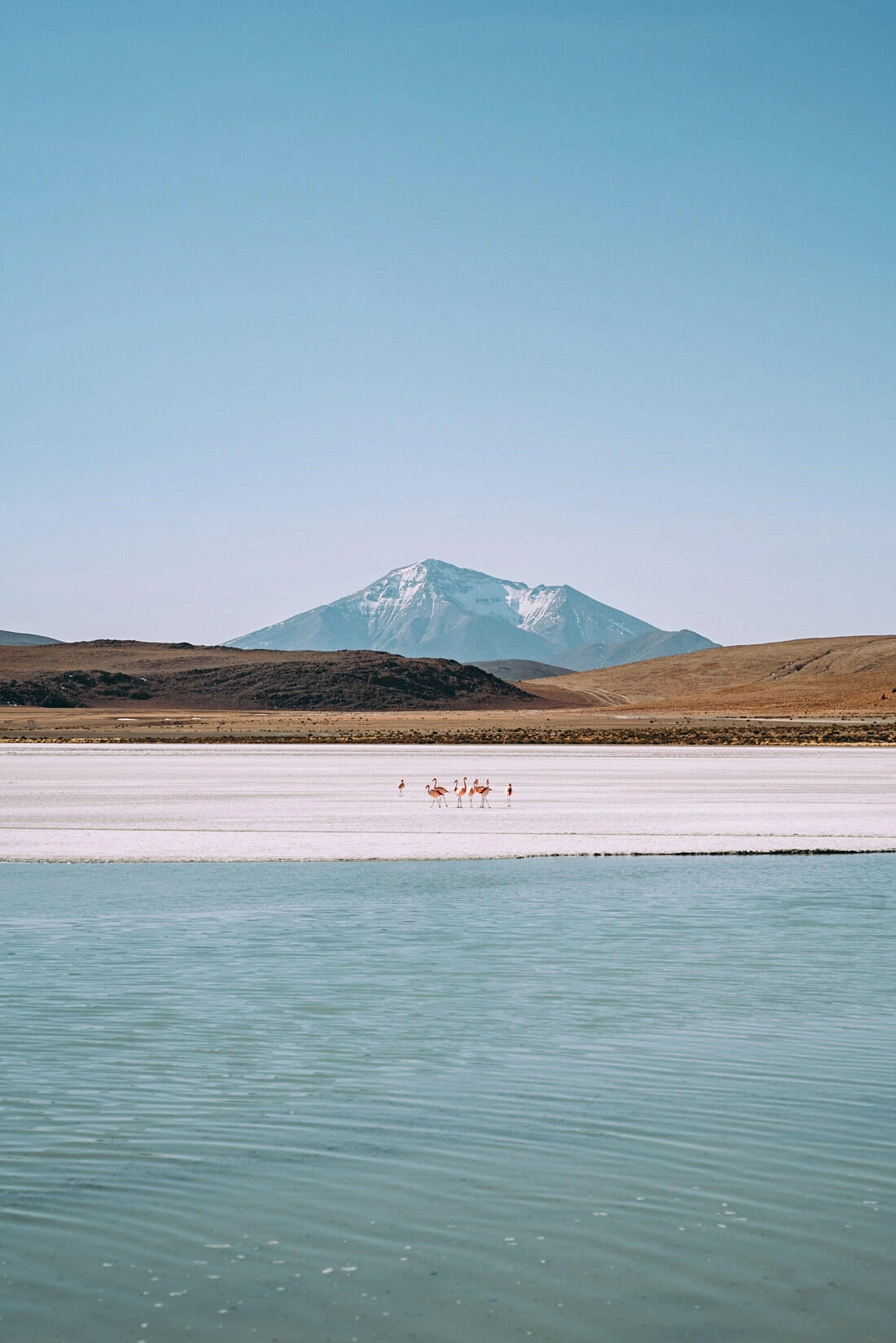 013 bolivia alti plano lago colorada - Bolivia – From Laguna Colorada through the Altiplano