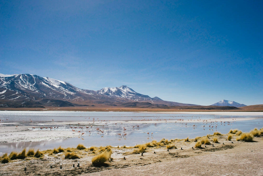 015 bolivia alti plano lago colorada - Bolivia – From Laguna Colorada through the Altiplano