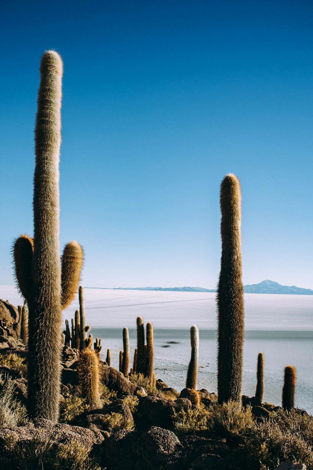 020 salar de uyuni sunrise - Bolivia – Sunrise on the Salar de Uyuni