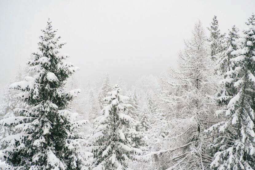 017 schneeschuhwandern lenzerheide landwasserviadukt filisur