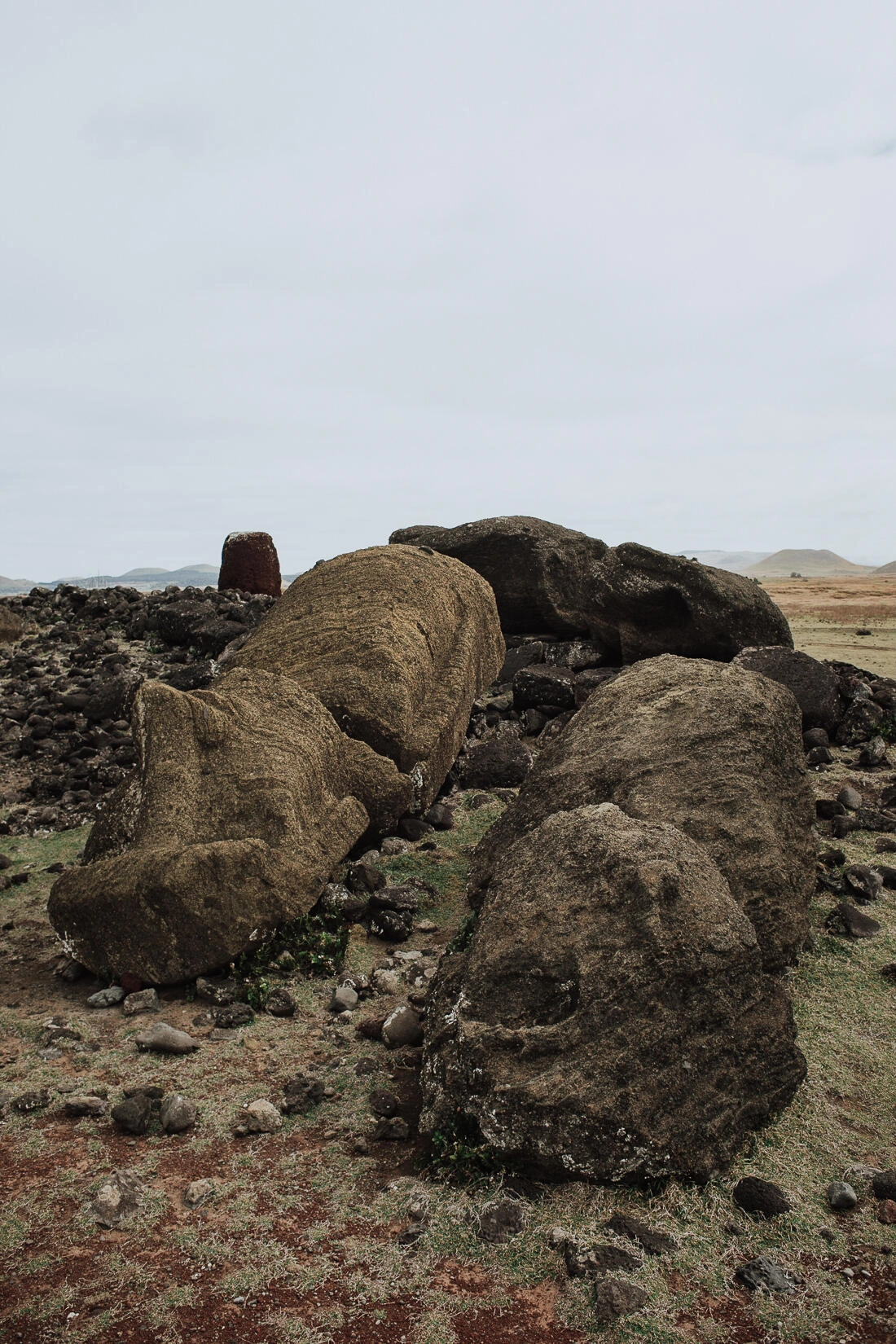 063 moai statue easter island - Easter Island (Rapa Nui)