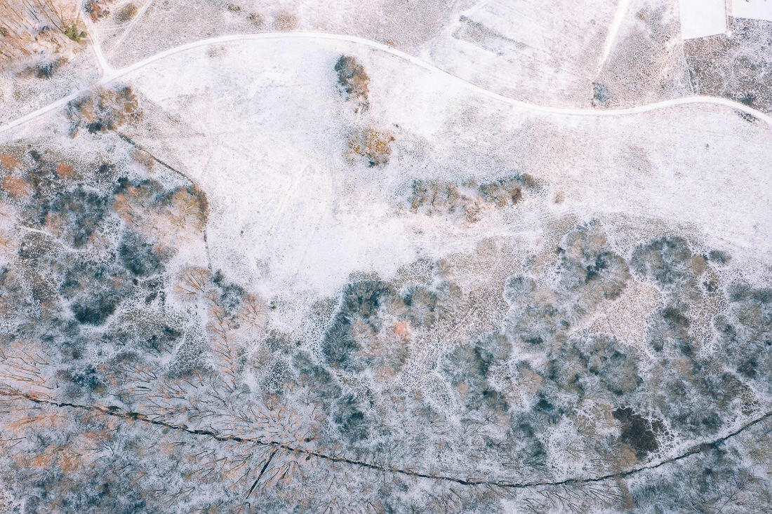 016 luftaufnahmen bodensee winterwald 1 - Winterlandschaft von oben
